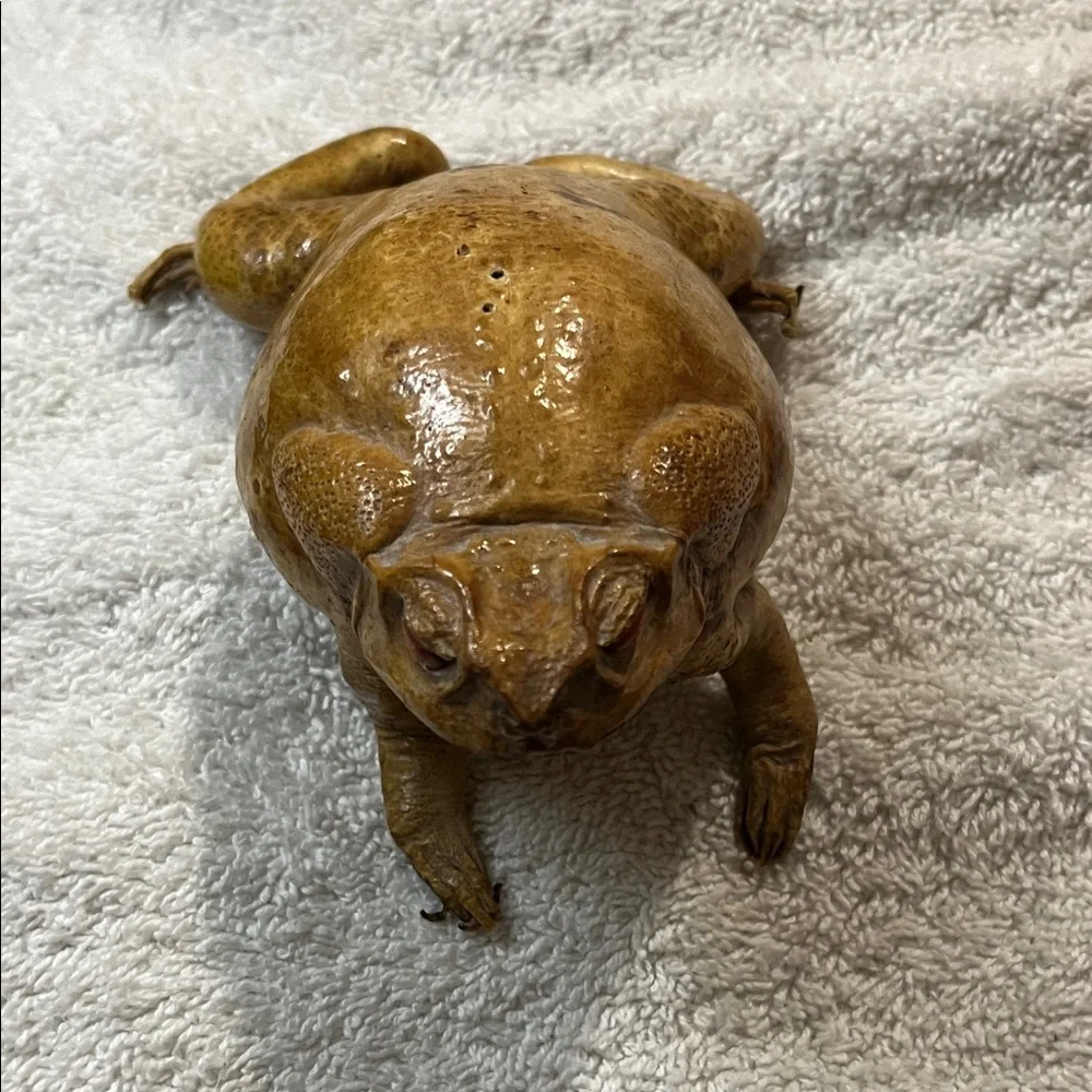 Realistic Brown Toad Ornament for Reptile Enclosures